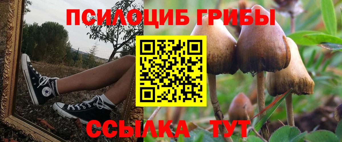 Псилоцибиновые грибы Magic Shrooms  Вход с VPN  Сургут  Галлюциногенные грибы мицелий 